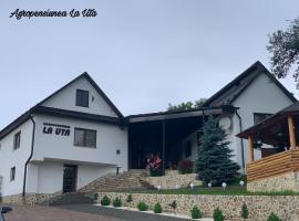 Agropensiunea La Uța, holiday rental in Rebrişoara