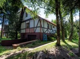 Domy na Kaszubach w Kamieniu