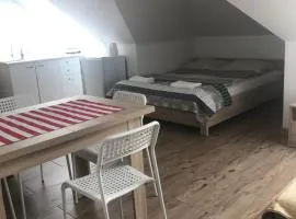 Pokoje gościnne u Izy
