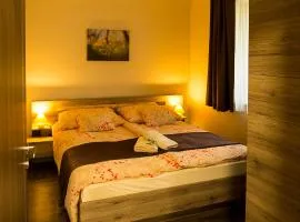 Bodzaház Apartman