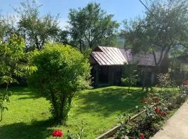 Casa Livada cu Meri