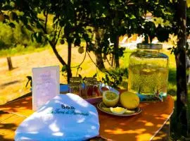 B&B La Terra di Parmenide