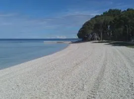 Apartman Karlo