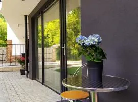 Sirály apartman