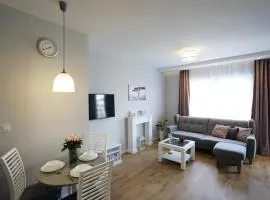 Apartament na Wspólnej ( centrum, garaż )