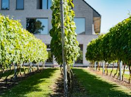 Abalona Hotel & Apartments, ubytování v soukromí v destinaci Dendermonde