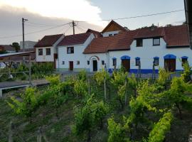 Vinný sklep Kraví Hora Bořetice – dom wakacyjny w mieście Velké Pavlovice