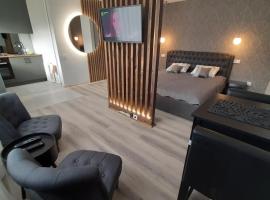 Jaukūs apartamentai-studija, centre, holiday rental in &Scaron;iauliai