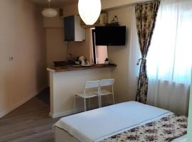 Casa Flamingo, hotel near Craiova International Airport - CRA, 