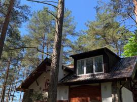 Domek wypoczynkowy w lesie nad jeziorem, holiday rental in Ocypel