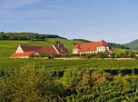 Domaine du Bouxhof, apartma v mestu Mittelwihr