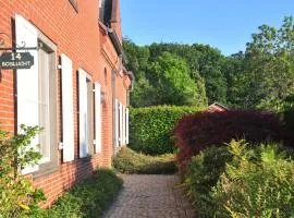Boslucht Leuven