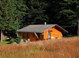 Haus an der Bergwiese, hotel i Waldkirchen
