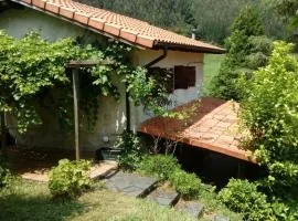 CASA DE CAMPO LAS ROZAS