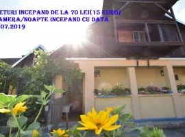 Casa Traditionala Ardeleana