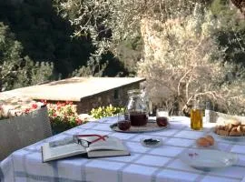 Kleanthi's House
