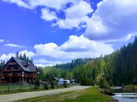 Маєток горгани, homestay in Synevyrsʼka Polyana