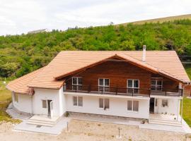 Pensiunea Aureliano, hotel in Răchita
