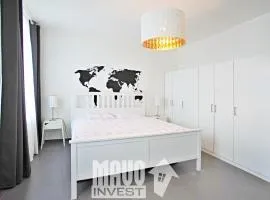 The modern apartment