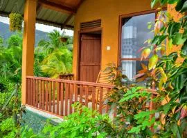 Rainforest Nature House
