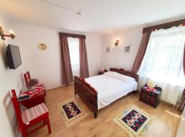 Pensiunea Sovirag, hotel a Sic