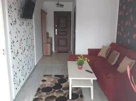 Apartament Alina