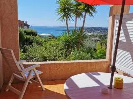 Superbe vue mer à Sainte Maxime T2 Climatisé