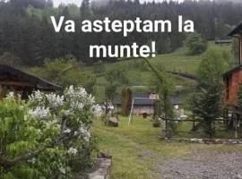 CAZARE Borsec