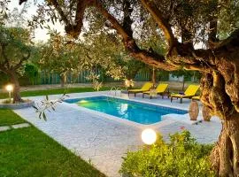 Olive Sense Villa