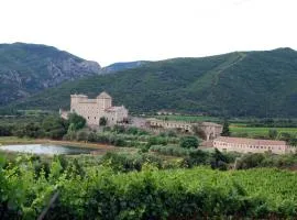Castell de Riudabella