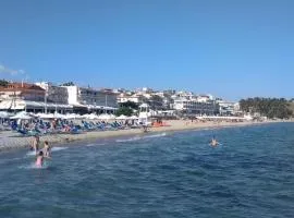 Mouses-Seaside