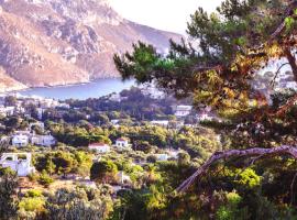 Fantasia Villas Deluxe "Selene", hotel v destinaci Panormos Kalymnos