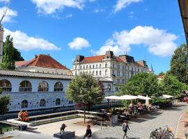 Petkovšek Rooms and Apartments, pensionat i Ljubljana