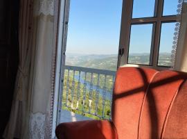 Mira Douro Valley Home, hotel with parking in Marco de Canavezes