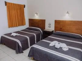 Hotel Cervantino