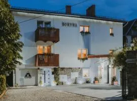 Pokoje Gościnne Boryna