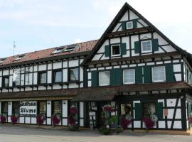 Hotel Landgasthof Blume, недорогой отель в городе Lichtenau