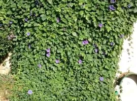 GITE VOLUBILIS BLEU