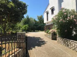 Draga Rooms