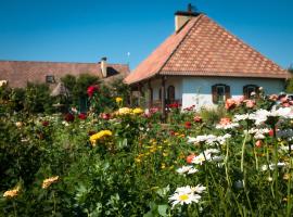 Vesela Sadyba, ξενοδοχείο σε Veselivka