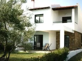 Ani summer villa close to sea-Anemi Beach