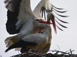 Siedlisko nad Sapiną, Hotel in Kruklanki