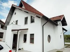 Autentic Adorabil Apartment
