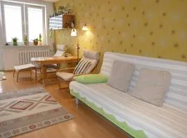 Apartament w centrum Helu