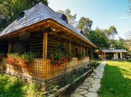 Casa lu' Ion, vacation home in Vişeu de Sus