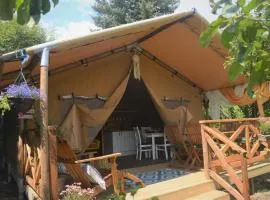 Beskidylla glamp