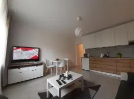 Apartamenty Lewa