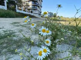Apartament Somnila, Mamaia Nord