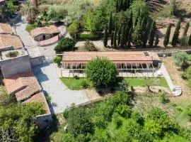 B&B Il Gelso Rooms