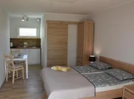 Pokoje Gościnne "Olesia"